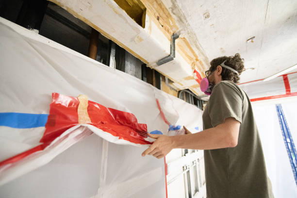 Best Mold Documentation for Insurance Claims  in Sulphur, OK