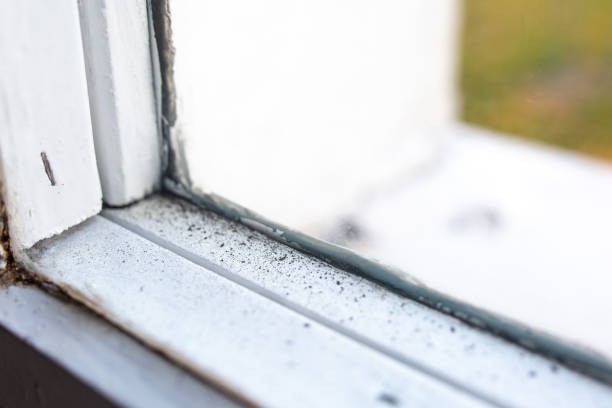 Best Asbestos and Lead Testing During Mold Inspection  in Sulphur, OK