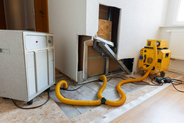 Best Post-Remediation Verification Testing  in Sulphur, OK