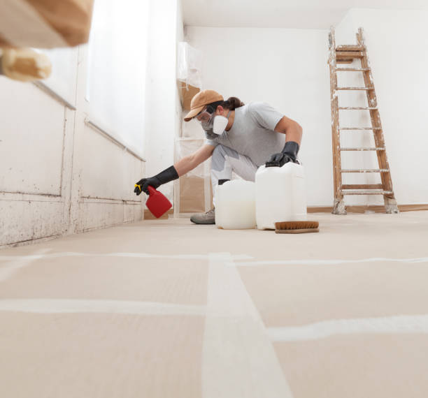 Best Water Damage & Mold Remediation  in Sulphur, OK